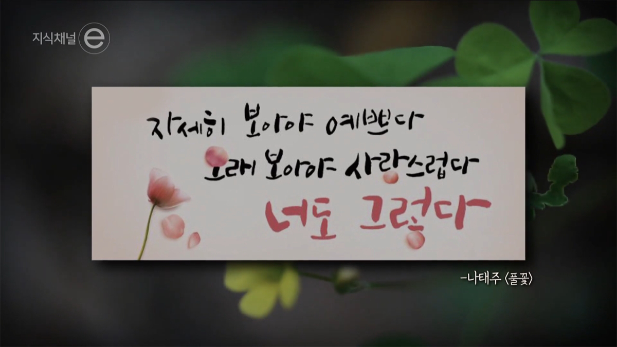 나태주 시인 <풀꽃>