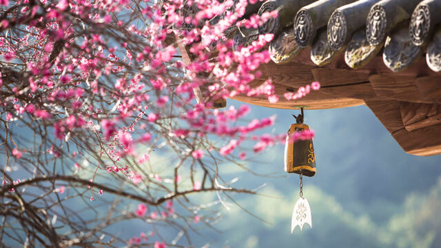 도심 속 힐링 찾기! 서울 템플스테이 추천(조계사, 봉은사, 화계사, 심택사)