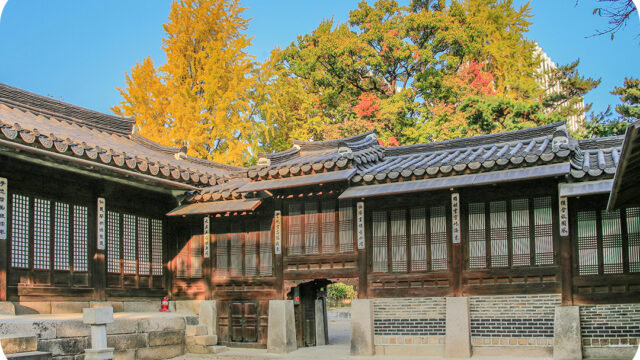 서울도서관부터 운현궁까지! 서울에서 ‘불금’즐기세요