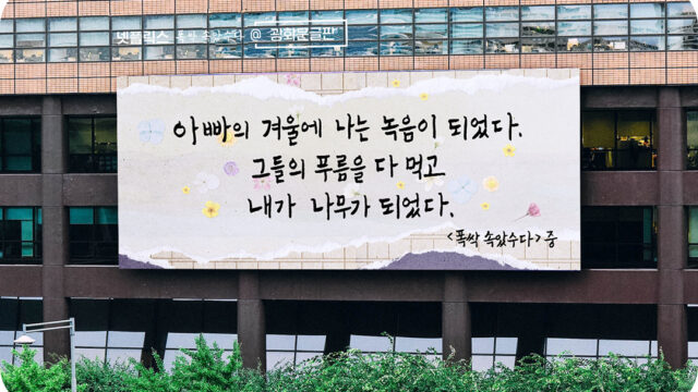 광화문글판과 ‘폭싹 속았수다’가 만났다! 광화문글판 특별편 소식