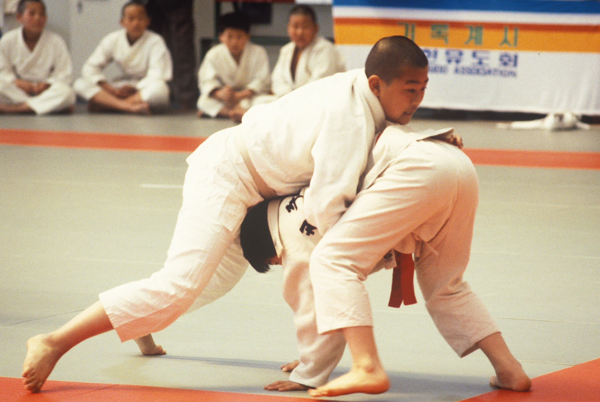 교보생명컵 꿈나무체육대회 유도대회