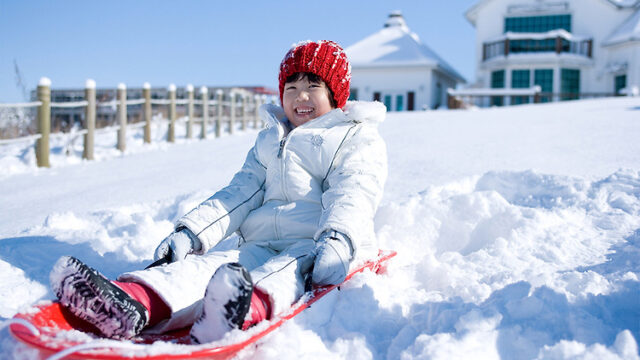 설연휴 아이와 가볼 만한 겨울여행지 추천(눈썰매장, 온천, 식물원)