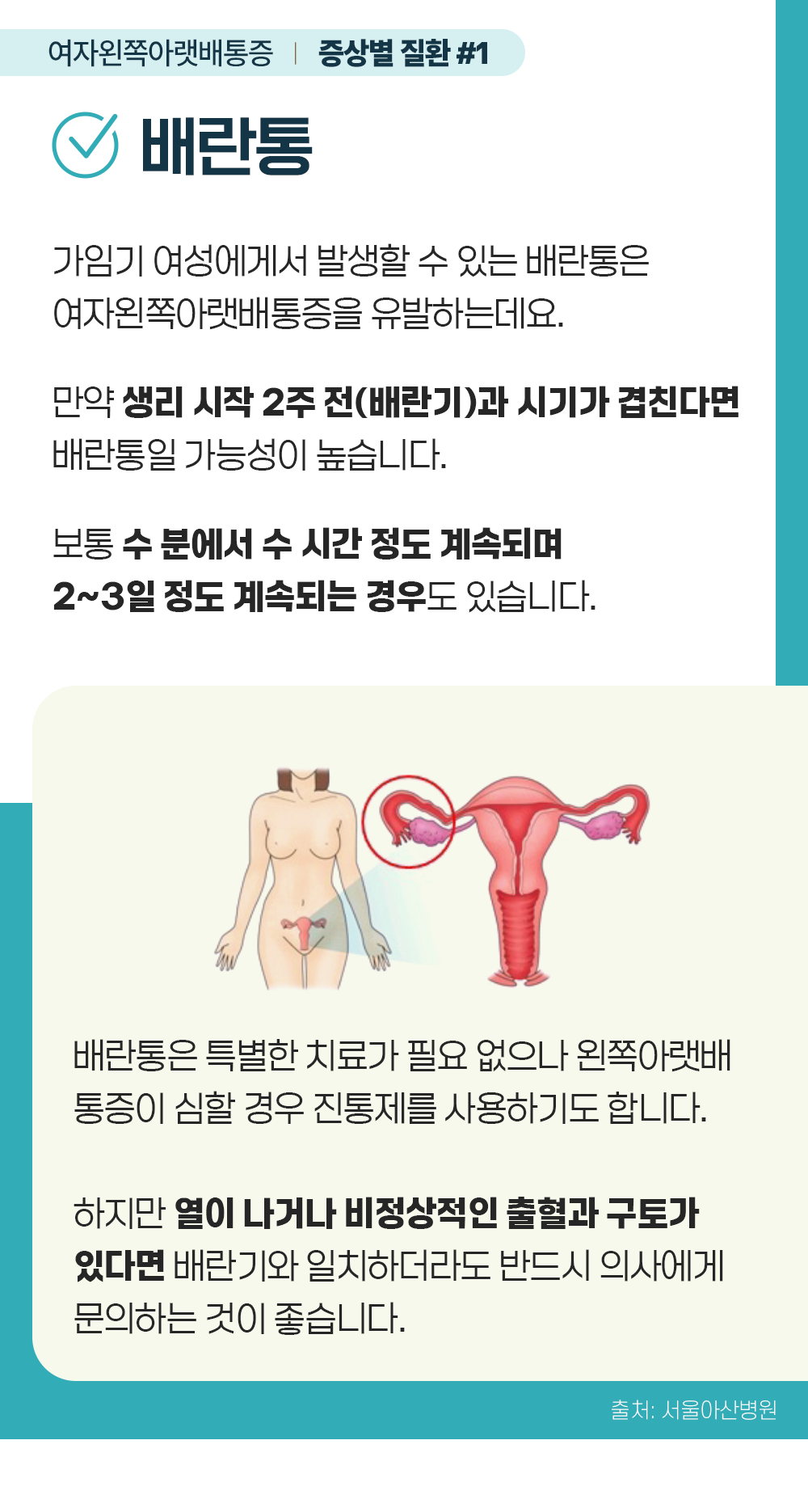 증상백과 여자왼쪽아랫배