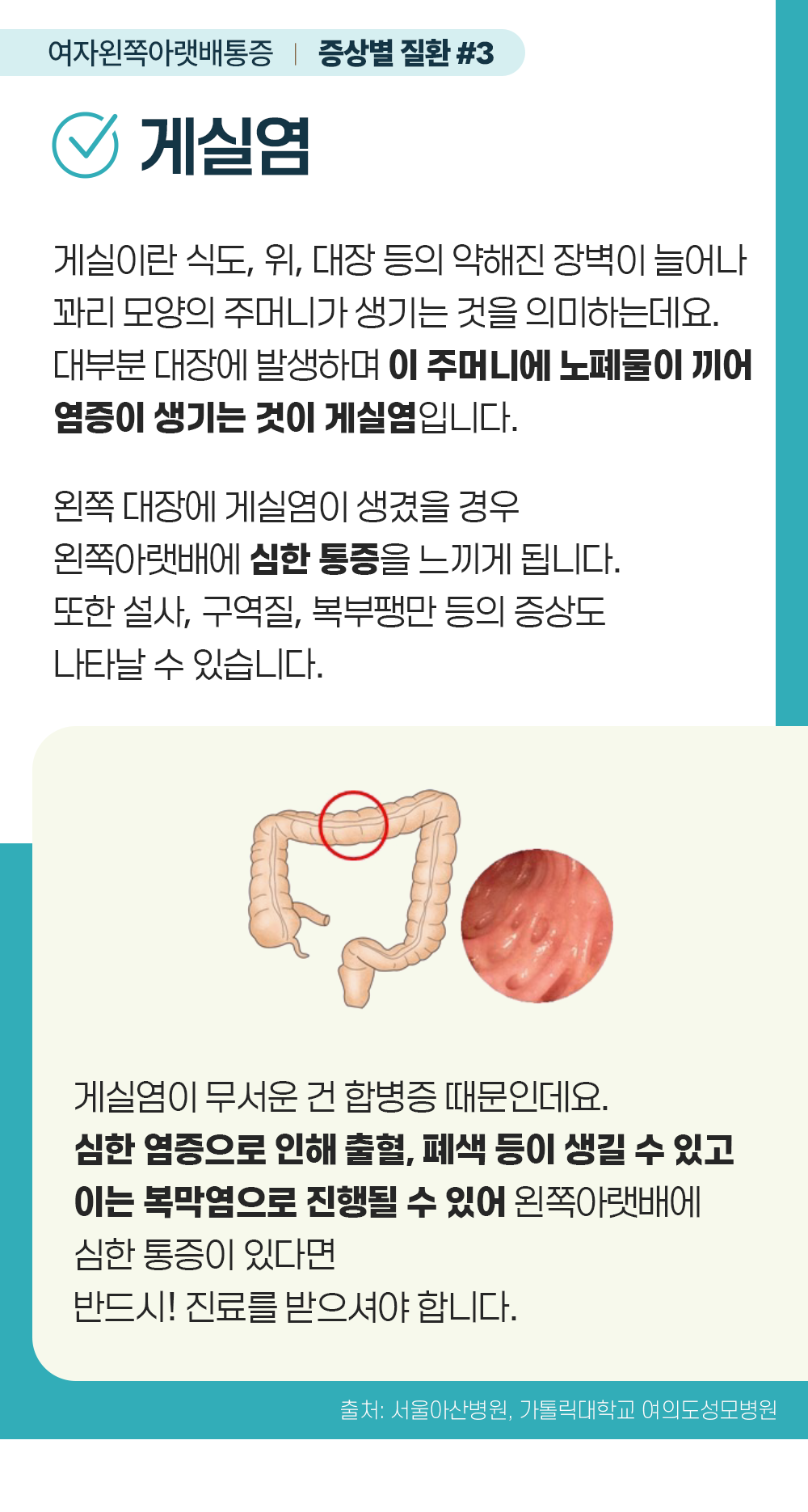 증상백과 여자왼쪽아랫배