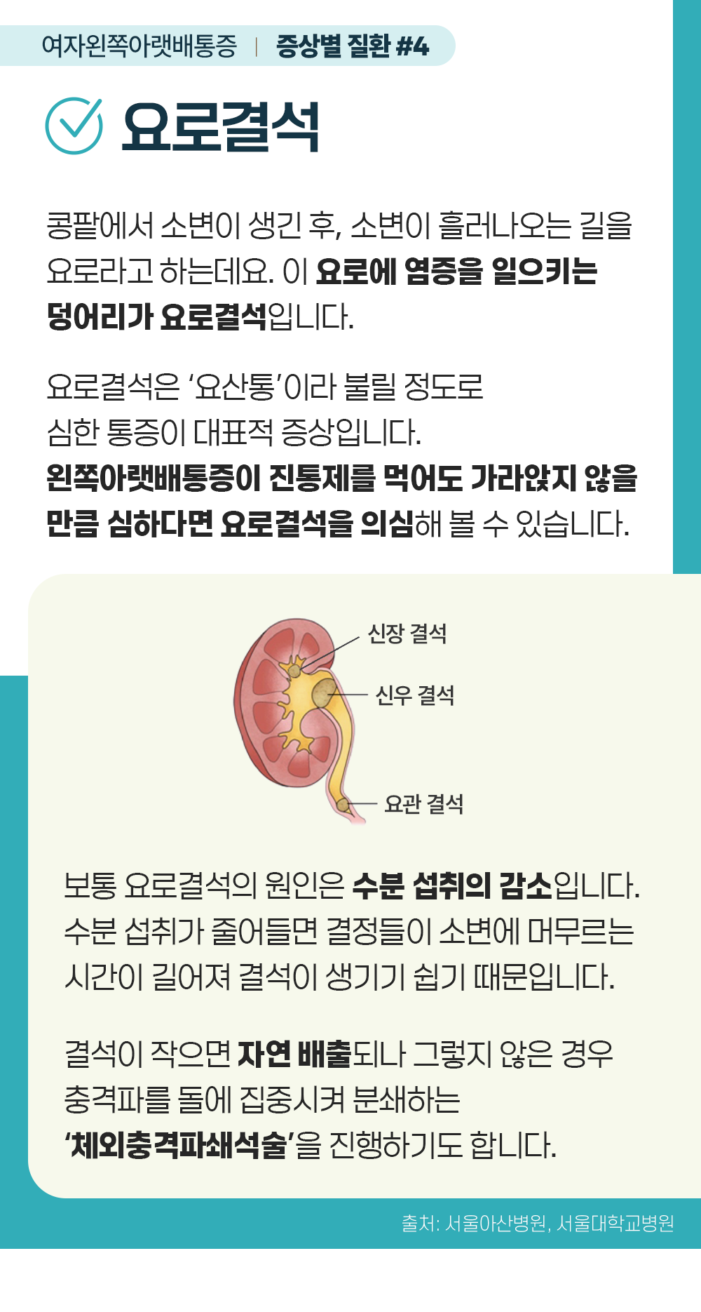 증상백과 여자왼쪽아랫배