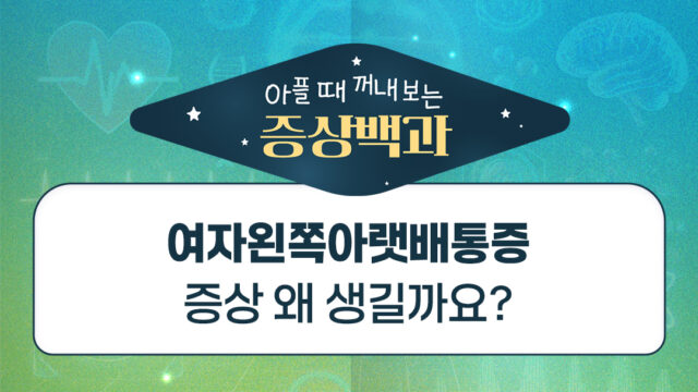 여자왼쪽아랫배 통증의 원인은?