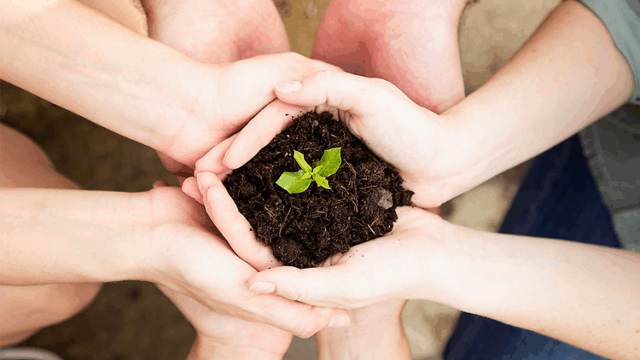 환경보호도 하고 혜택도 받고! 탄소중립실천포인트 A to Z