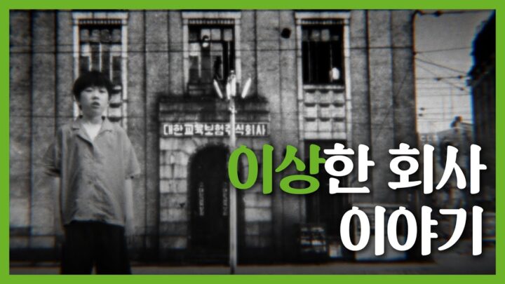 이상한 회사 이야기