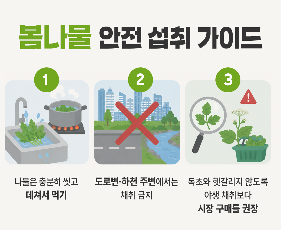 봄나물