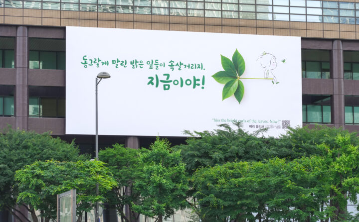 2026년 여름편 메리 올리버 ‘마지막 날들’