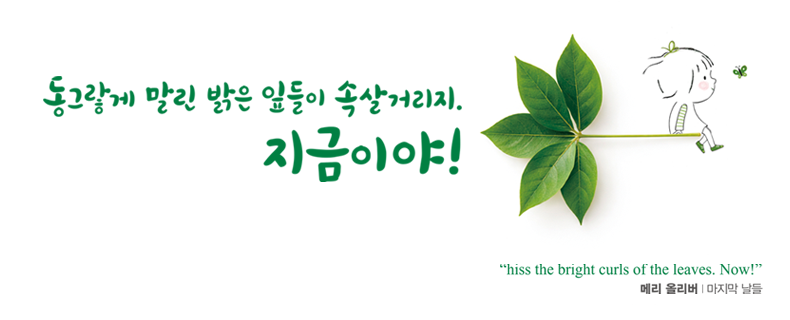 광글 여름편 문안