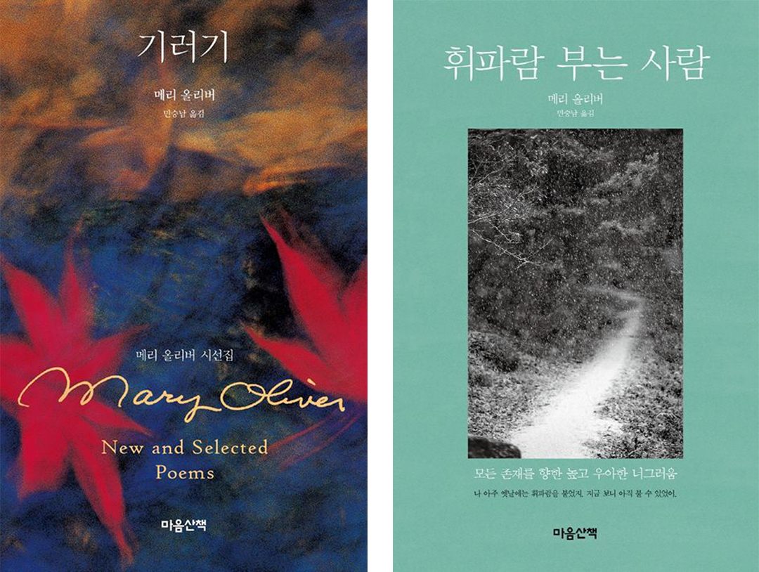 광글 여름편 4 수정