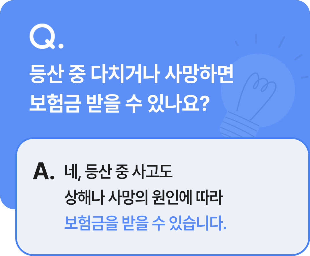 보험무물 등산